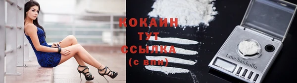 прущий лед Богородск