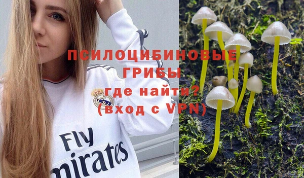 кокаин перу Богданович