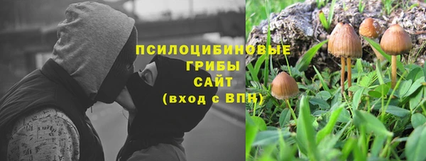 PSILOCYBIN Семикаракорск