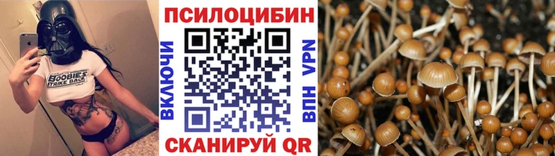 Псилоцибиновые грибы Psilocybe  Миллерово 